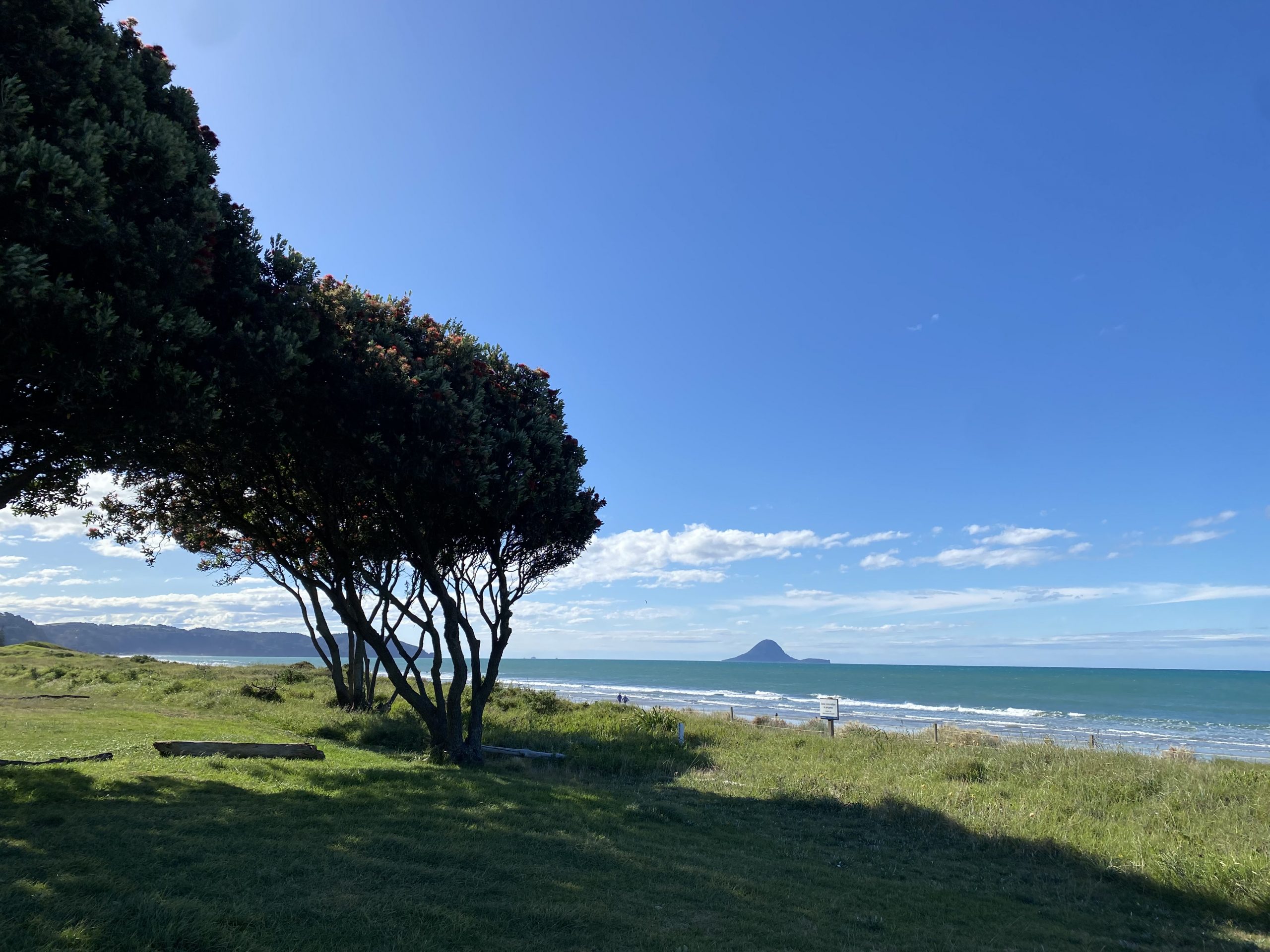 Die ersten Wochen in Neuseeland – Arbeiten, Strandurlaub und Weihnachten