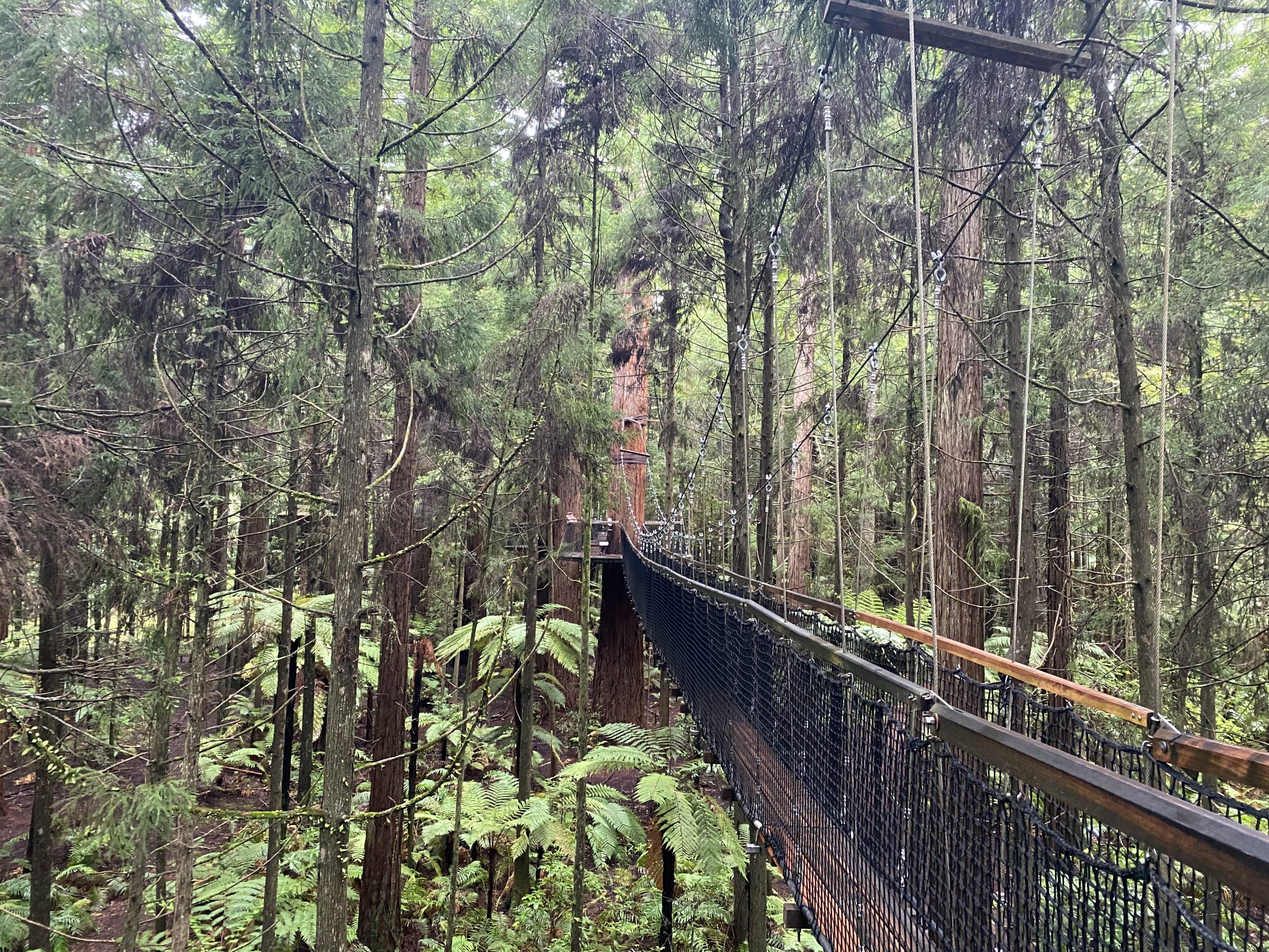 Aktiver Sommerurlaub