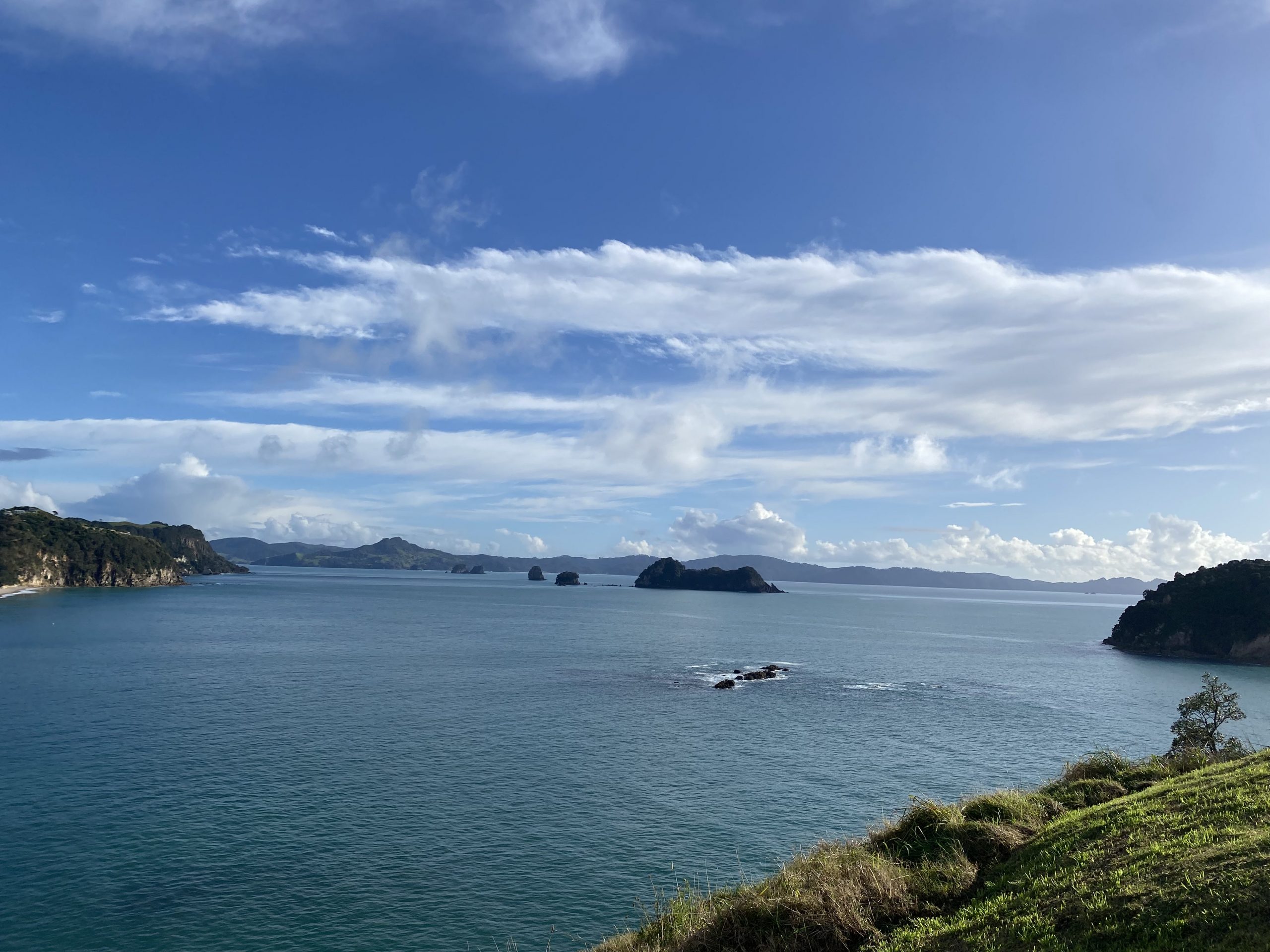 Juni – Hahei Beach, Orienteering, Fielddays und European Food Truck Festival