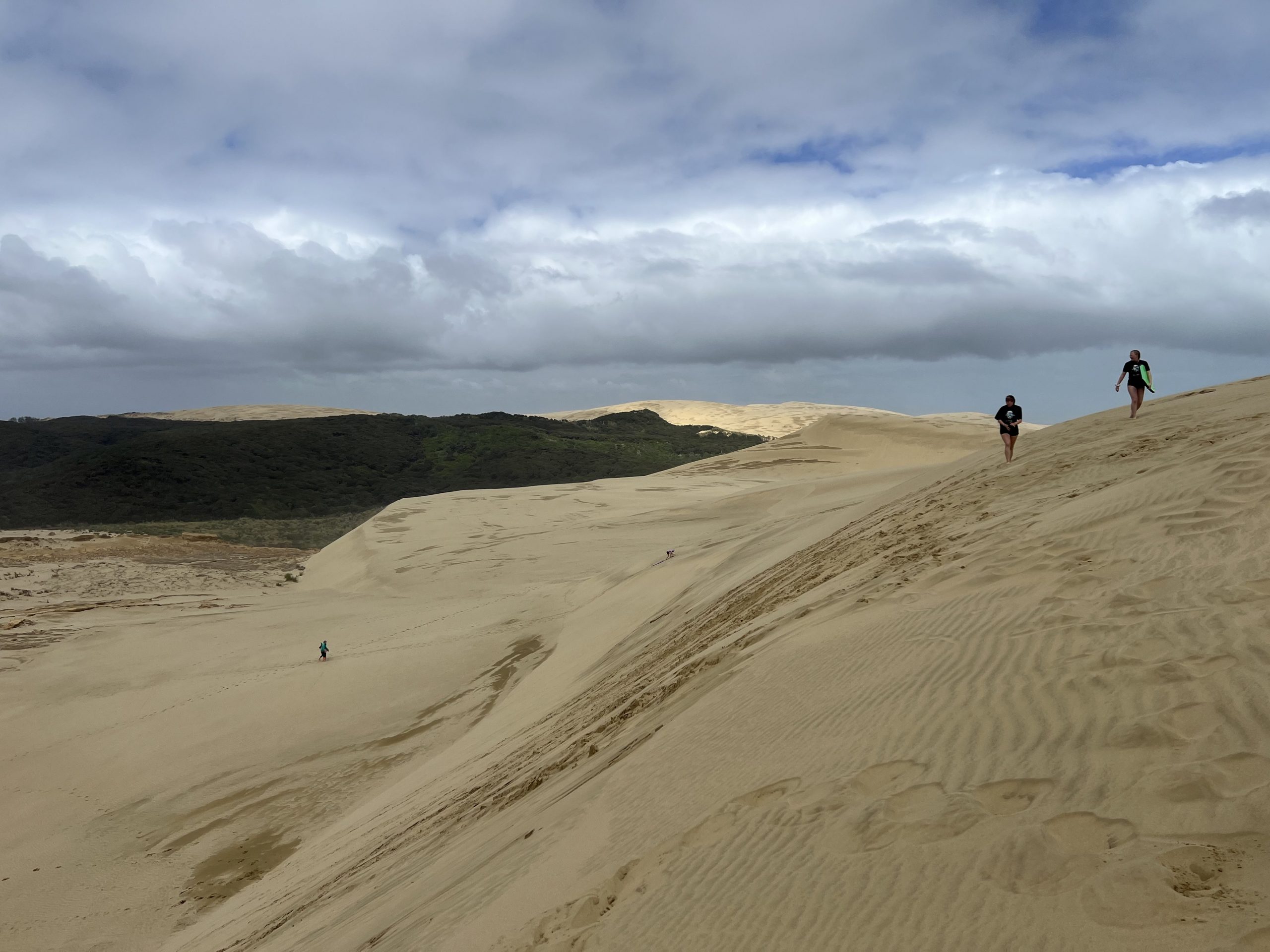 Die Nordinsel von Neuseeland erkunden
