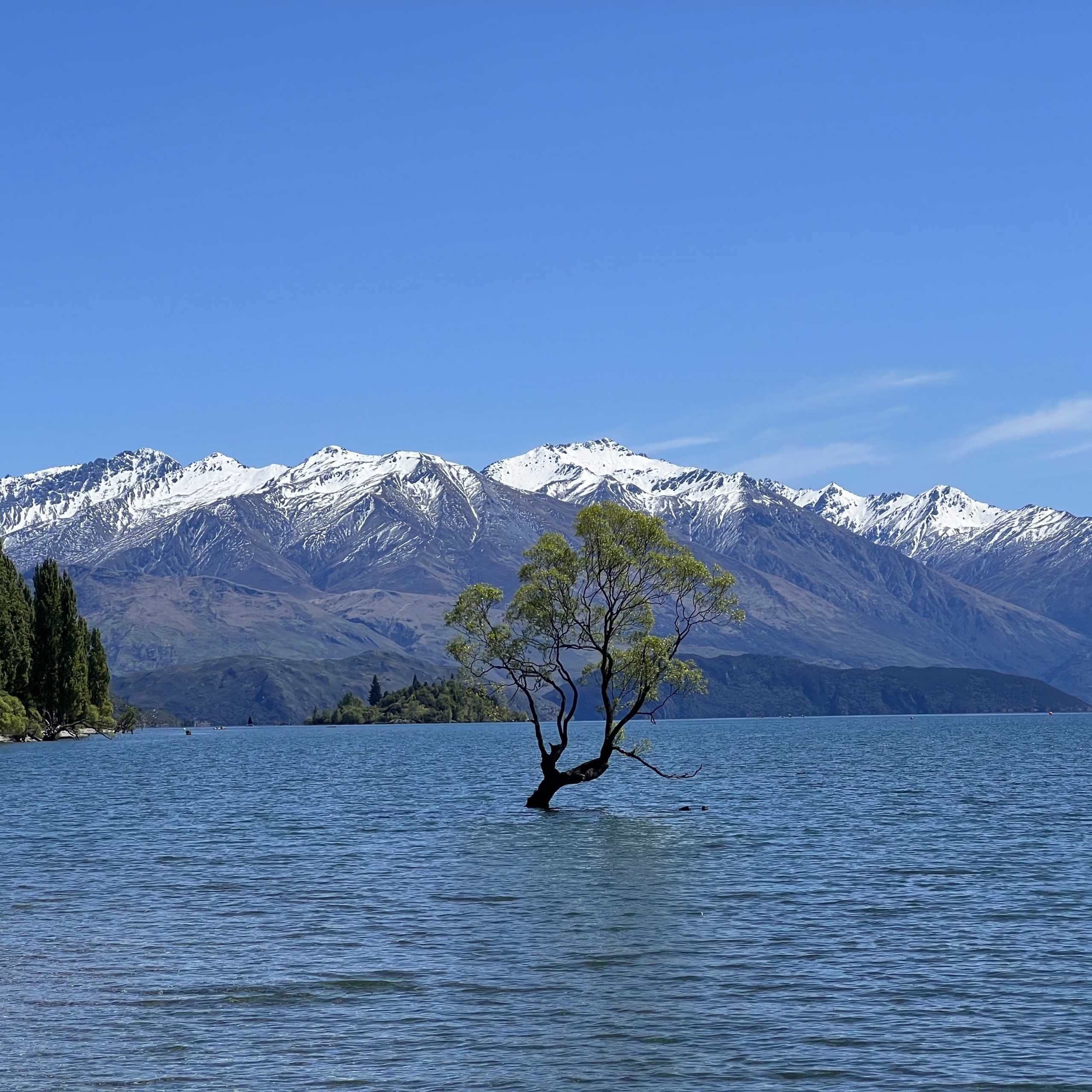 Die zweite Woche auf der Südinsel